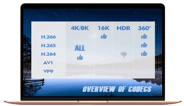 common video codecs for different video types