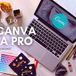 How to Use Canva Like a Pro in 2020: Create Amazing Social Media Content in No Time