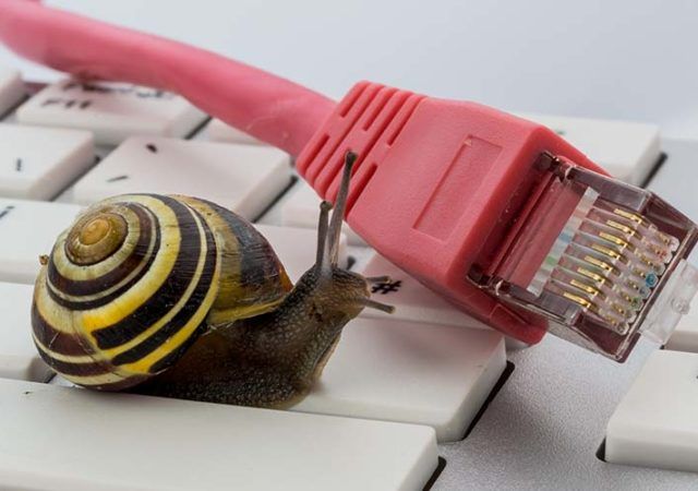 snail and internet cable on a keyboard