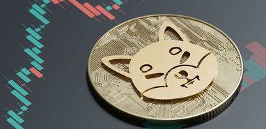 Shiba Inu Price Prediction for 2023