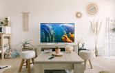 The Ultimate Guide to Top 50-Inch Televisions of 2024