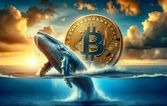 Bitcoin Halving: Why I’m Buying Now