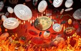 Operation in Germany: Nearly €25 Million in Cash and Crypto Seized in Historic Raid