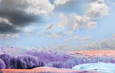 Emerging Trends In Climate Fiction And Future Narratives