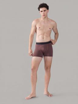 Men Colorblock Underwear with ELASTO LITE (Pack of 2) in Chocolate A - 4