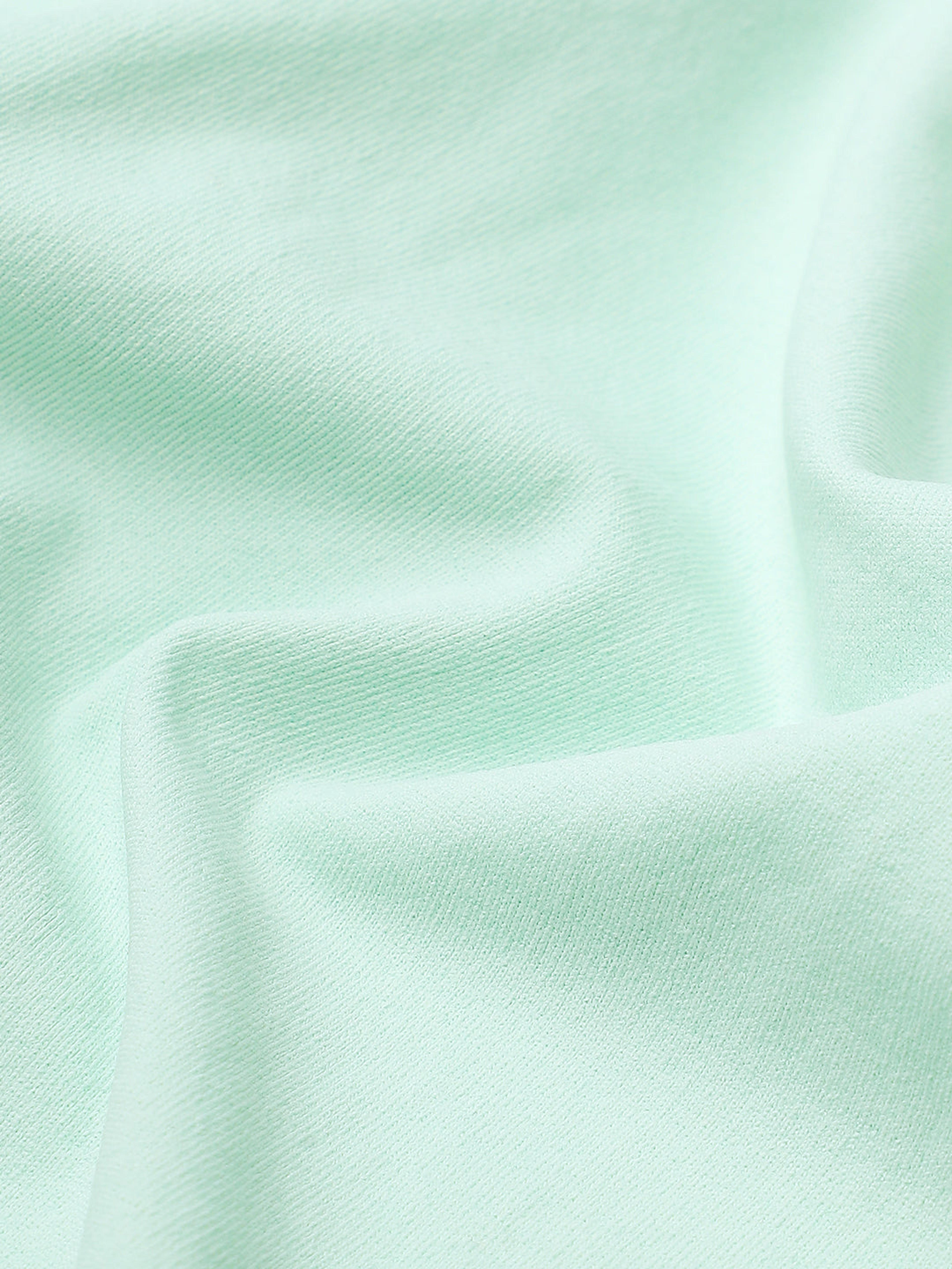 Women Colorblock Oversized Fit Polo T-shirt with COTFLEX in Mint Green - 10