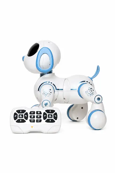 Robot Dog Toy for Kids | Remote Control, Touch & Walking