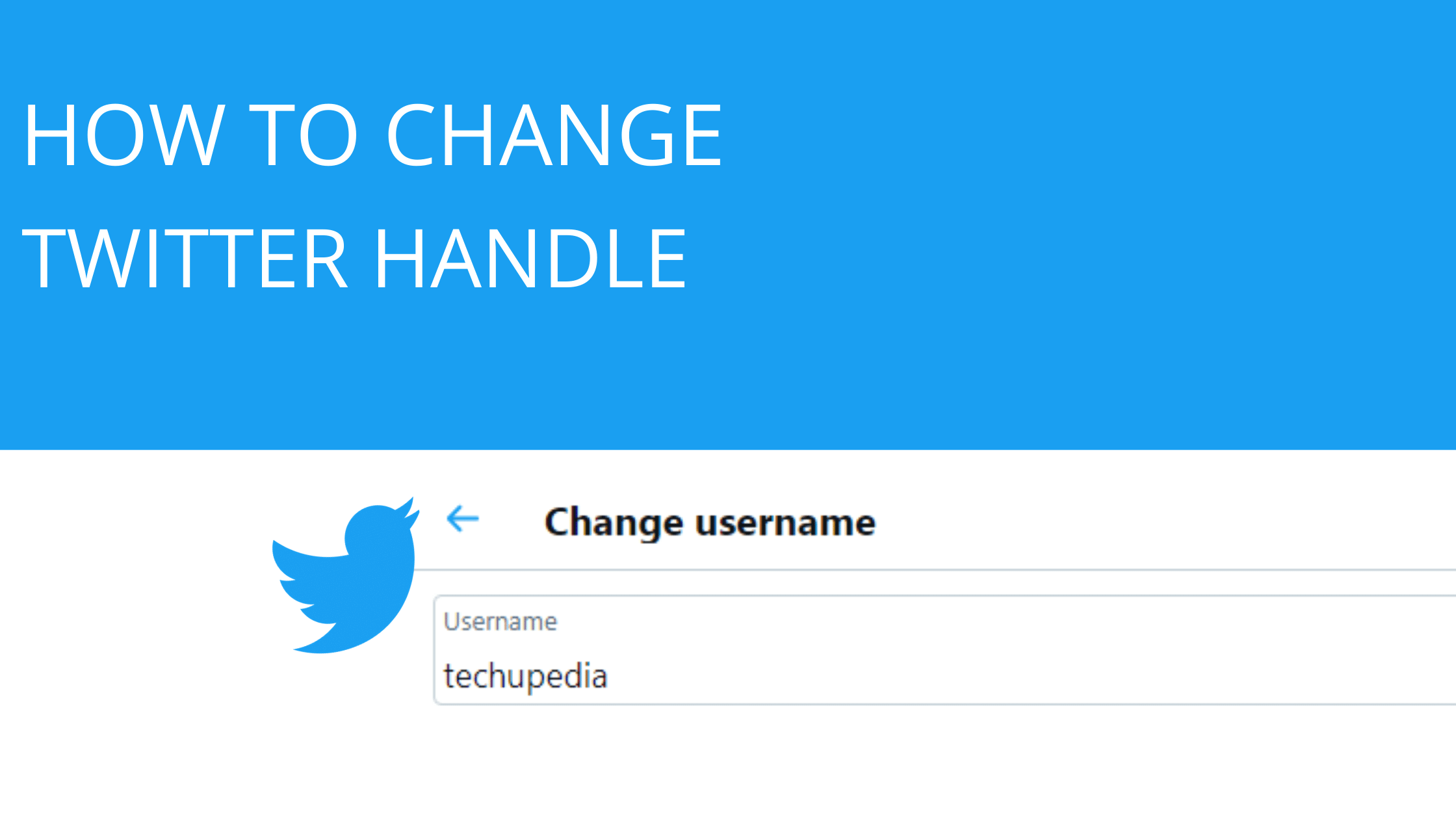 How to change handle twitter. Смотреть фото How to change handle twitter. Смотреть картинку How to change handle twitter. Картинка про How to change handle twitter. Фото How to change handle twitter
