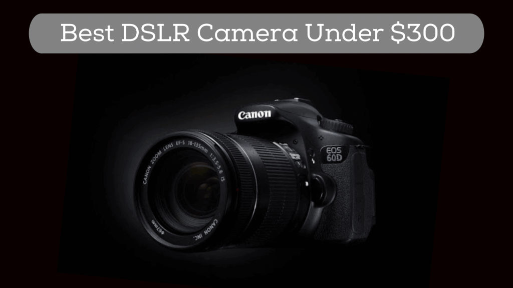 Best DSLR Camera Under 300 to Use in 2022