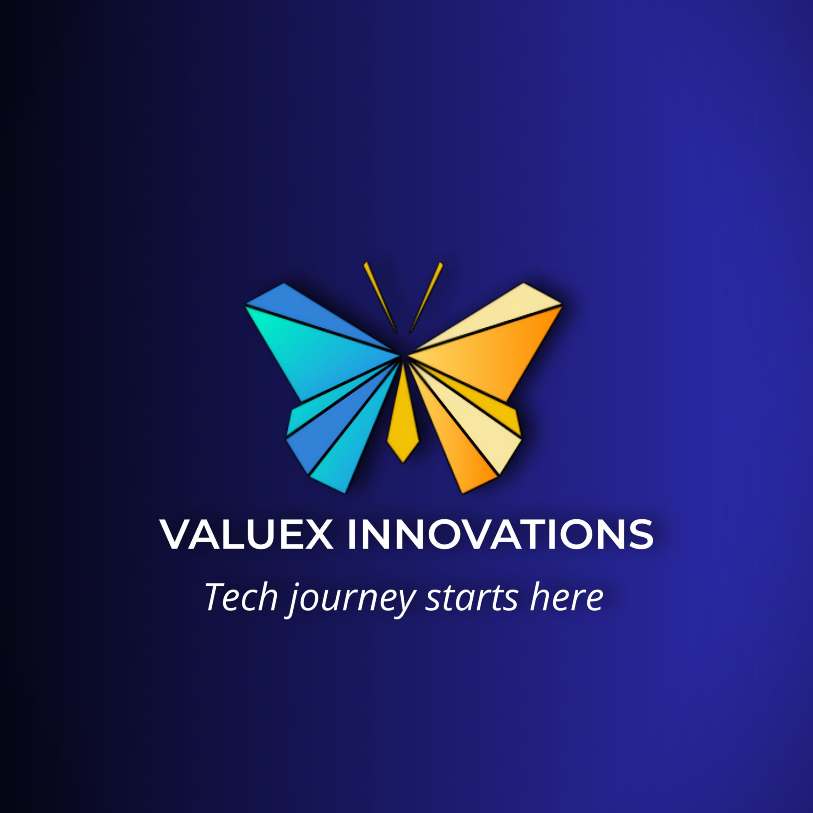 Valuex Innovations Team