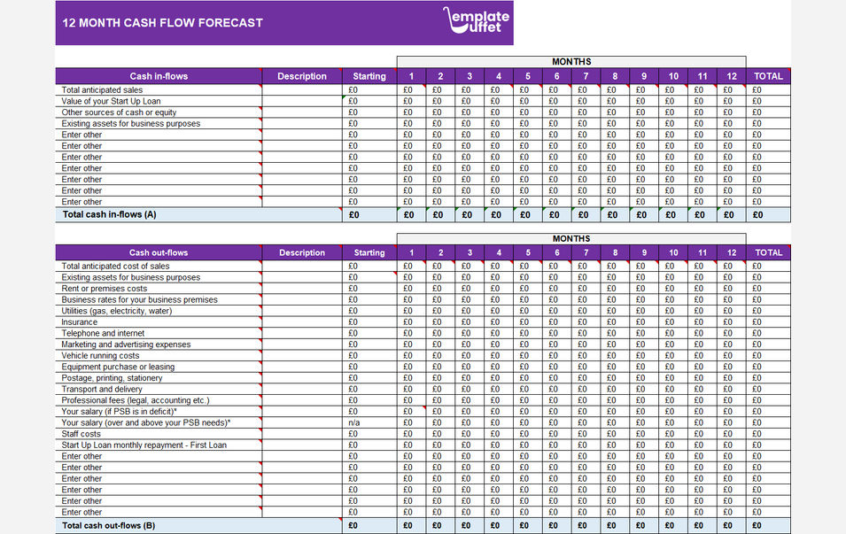 12 Months Cash Flow Forecast