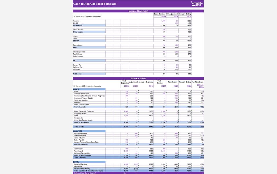 Cash to Accrual Excel Template