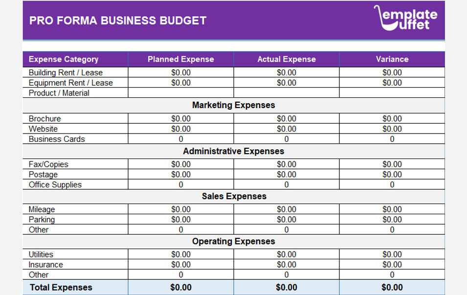 Pro Forma Business Budget