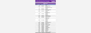 Scrolling RoadMap Excel Template