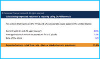 CAPM Formula Template