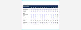 Profit and Loss Statement