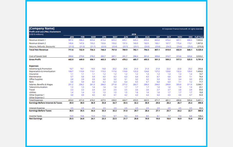 Profit and Loss Statement