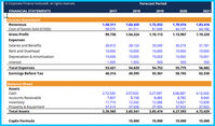 CapEx Formula Template