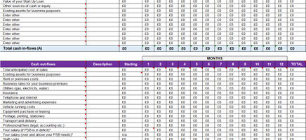 12 Months Cash Flow Forecast