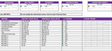 Annual Financial Report