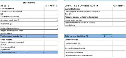 Balance-Sheet-with-Financial-Ratios Excel Template