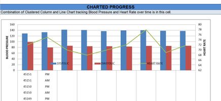 Blood-Pressure-Tracker Excel Template