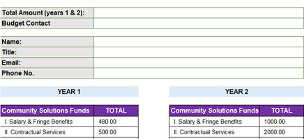 Budget Summary Template