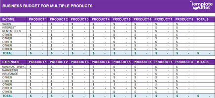 Business Budget for multiple products