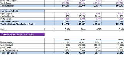 Capital Adequacy Ratio Calculator Evcel Template