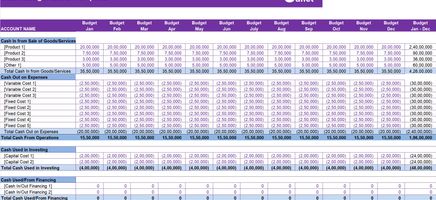 Cash Budget Excel Template