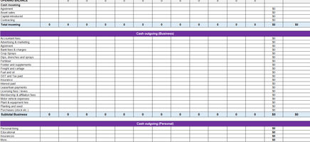 Cash Flow Budget