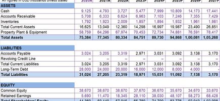 Cash Ratio Excel Template