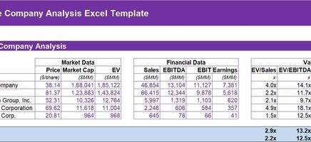 Common Company Analysis Excel Template