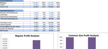 Common Size Analysis Excel Template