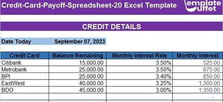 Credit-Card-Payoff-Spreadsheet-20 Excel Template