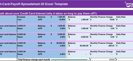 Credit-Card-Payoff-Spreadsheet-30 Excel Template