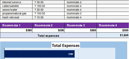 Household Expense Budget