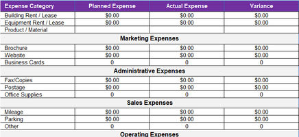 Pro Forma Business Budget