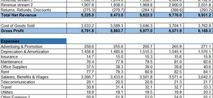 Profit-and-Loss- Excel template-01