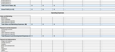 Profit and Loss Statement