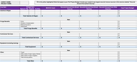 Project Budget