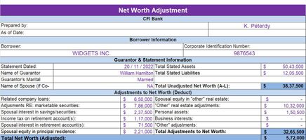 SME Lending - Owner's Net Worth Adjustment Excel Template