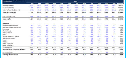 Profit and Loss Statement