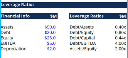 Leverage Ratios Template