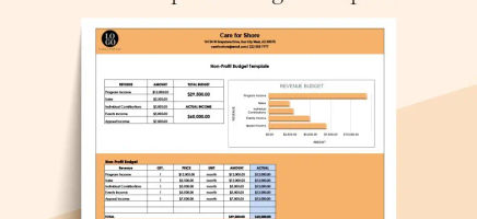 Nonprofit Budget Template