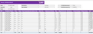 Travel Expense Report