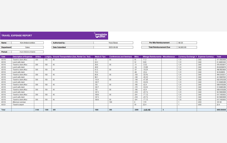 Travel Expense Report