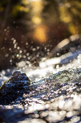 Fresh crick water sloshing against the frame.