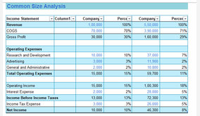 Common Size Analysis