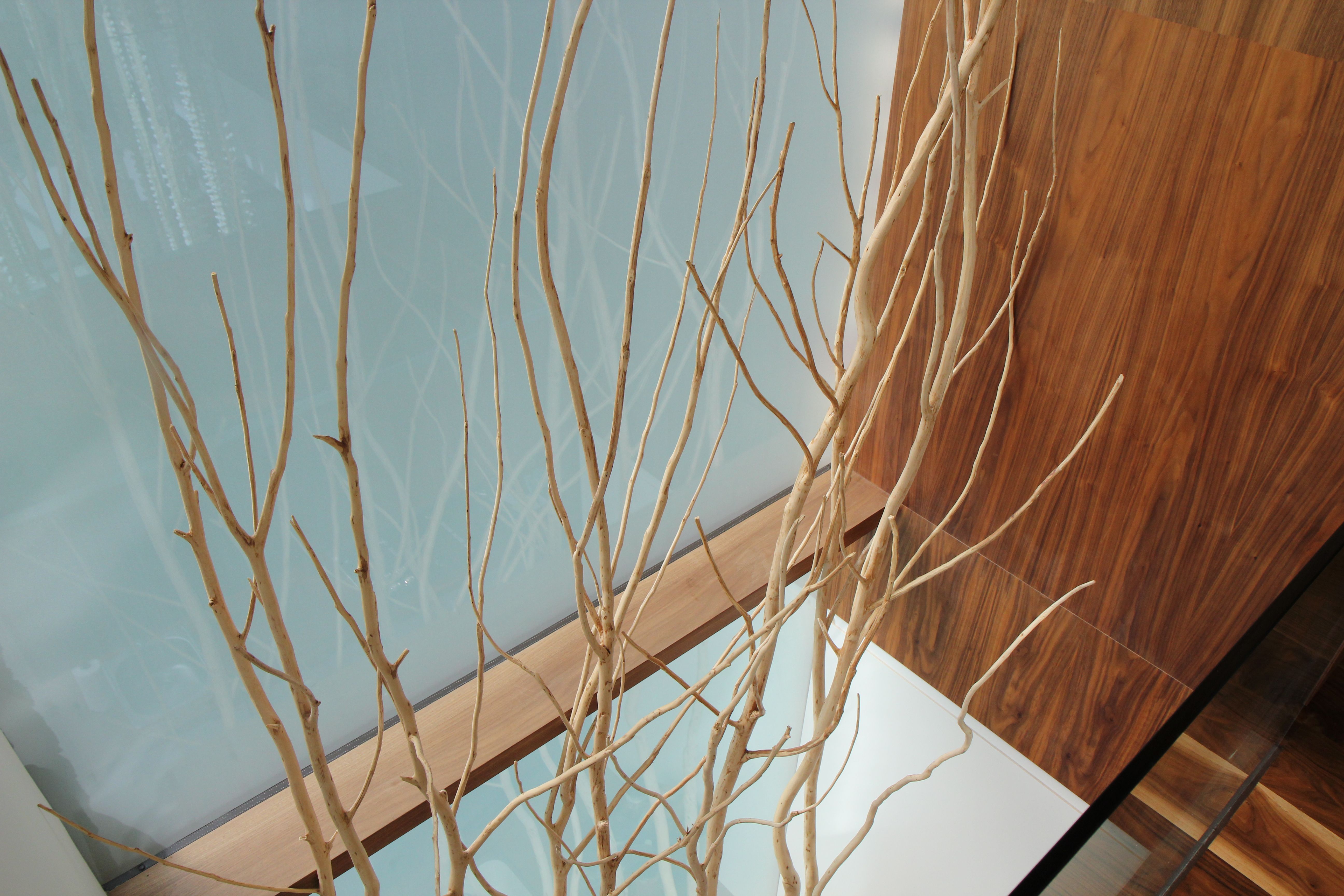 Arquitectura de interiores lujosa y contemporánea 17